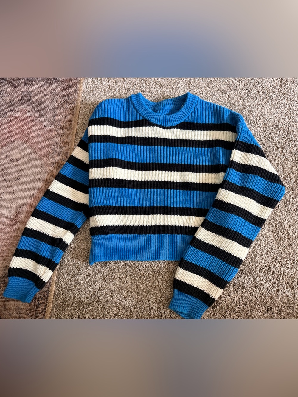 A.L.C. Matthews Pullover Sweater Cropped‎ Crewneck Blue White Black Oversized S